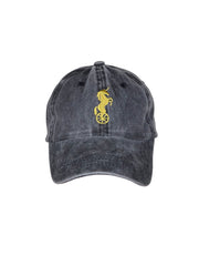 Rafiki Dad Cap